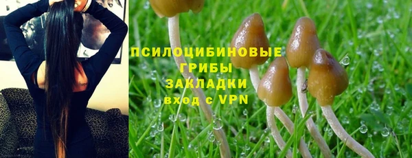МДПВ Арсеньев
